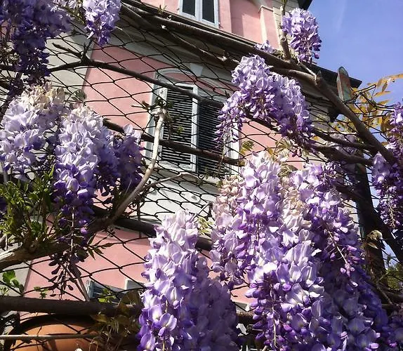 Frühstückspension Arianna