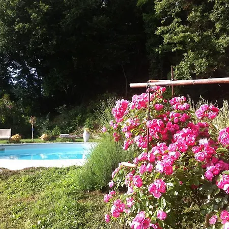 Arianna Bed and Breakfast